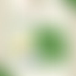 MERCATINO SOLIDALE DI RETEMILANO