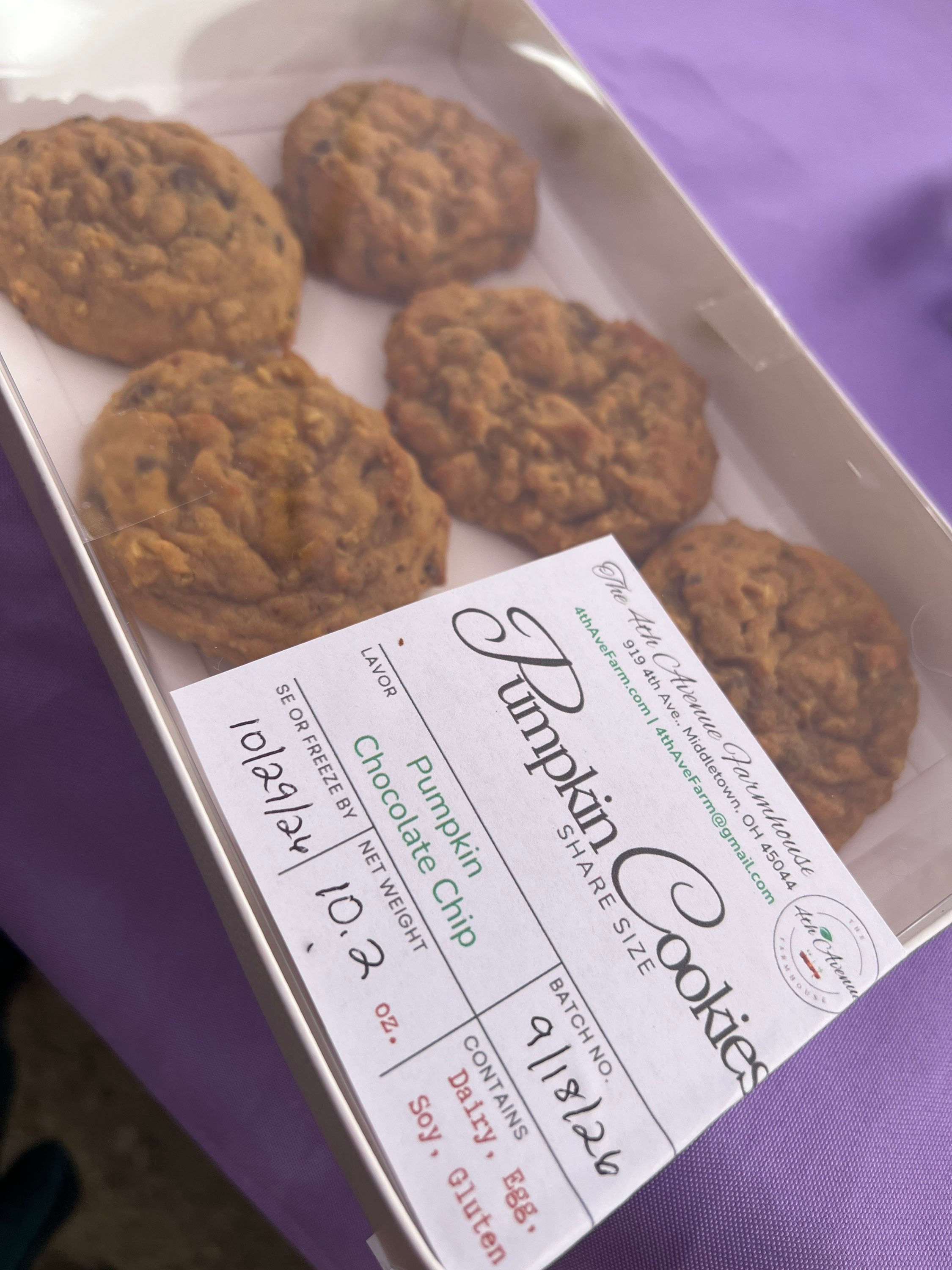 Pumpkin Chocolate Chip Cookies