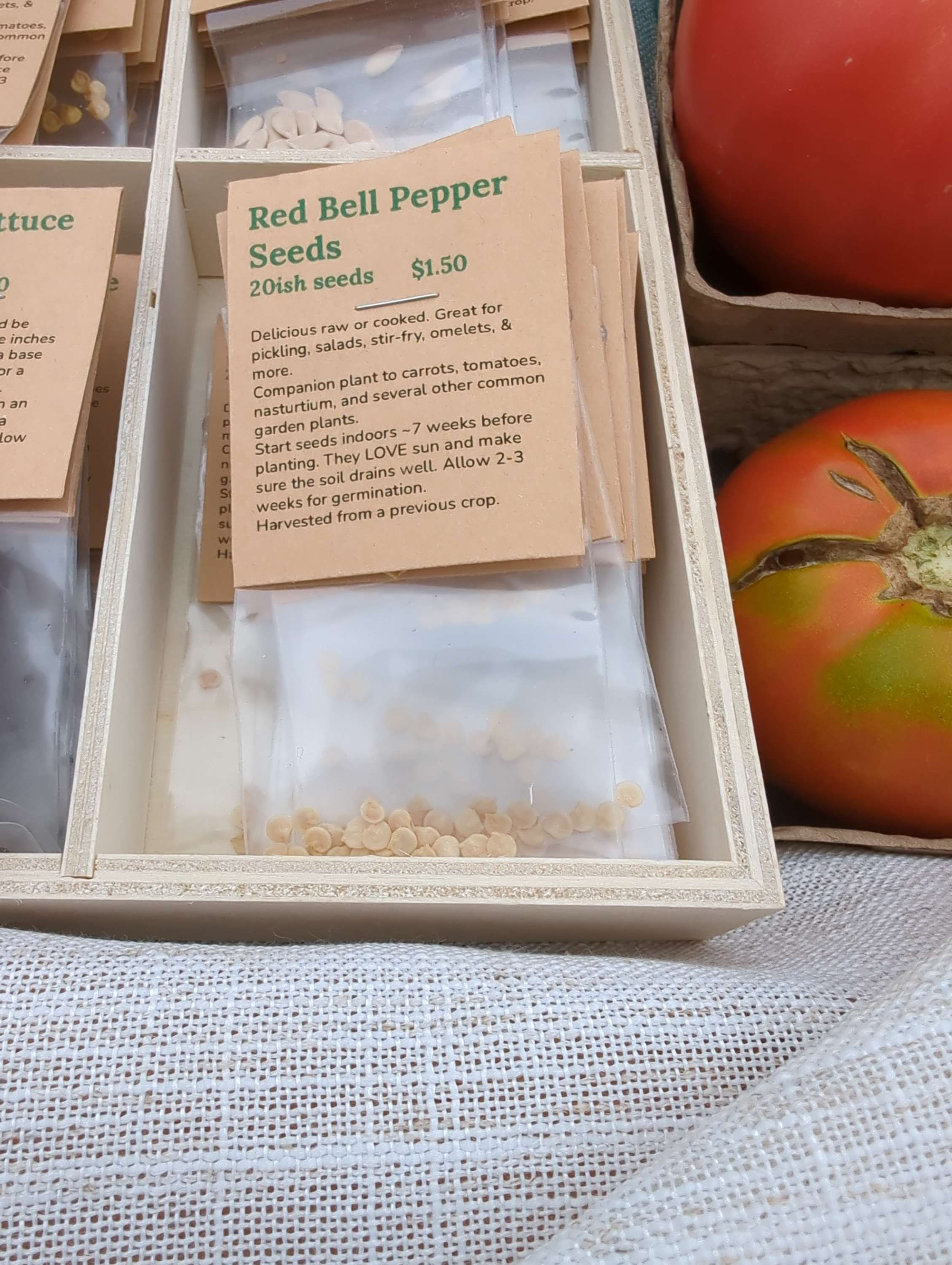 Bell Pepper Seeds (Red) ~20 seeds/each packet