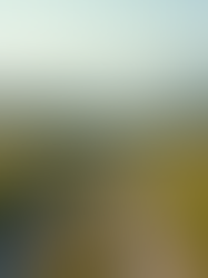 The Power of a Trust Keynote Speaker: Building Authentic Leadership