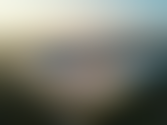 Shoal River Ranch Crestview FL: Jobs, Growth & Where to Live Near Williams International