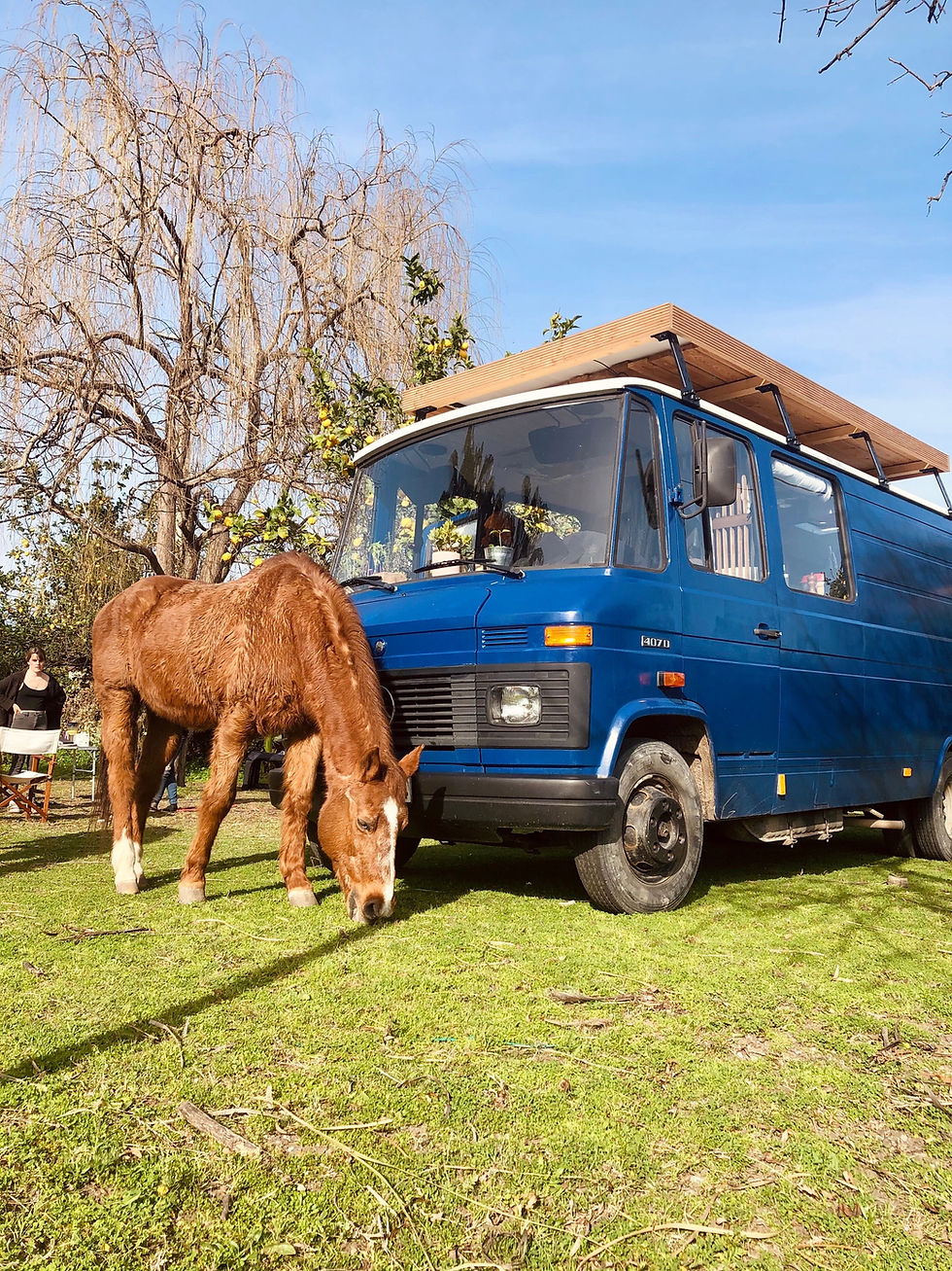 Camper mit Pferd