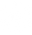White Snowflake