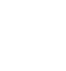 White Snowflake