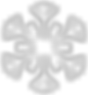 biały Snowflake