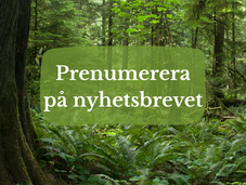 Få alla uppdateringar i din inkorg!