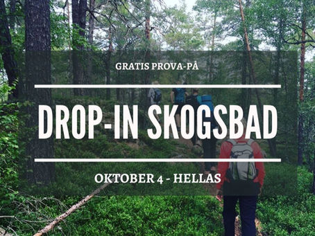 Prova-på dag för skogsbad i Hellas!