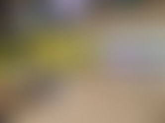 ボーリング大会　[愛知　研磨　研削]