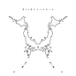Niche Syndrome album cover