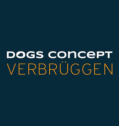 dc_logo_color_1zu1_cmyk.jpg