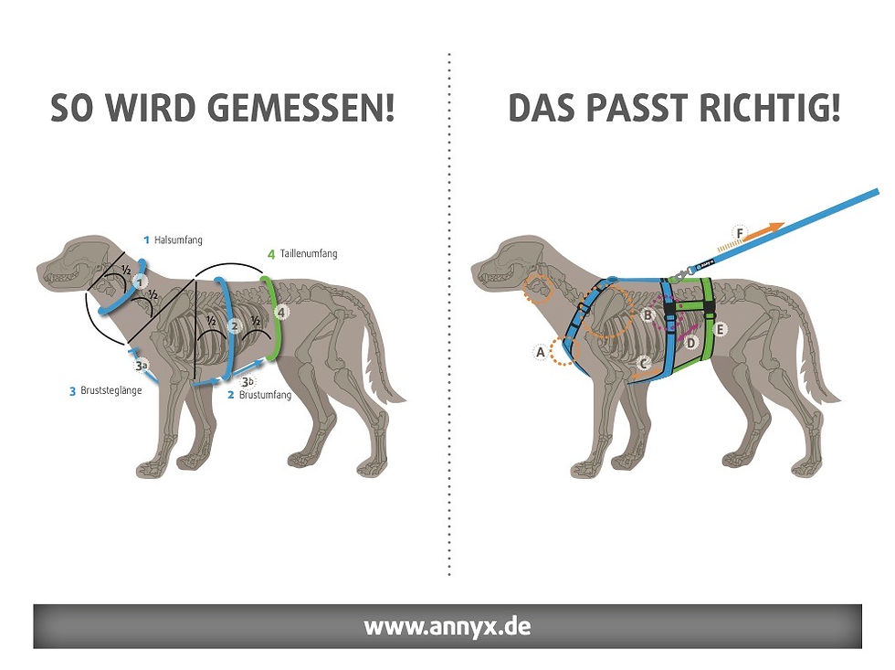 Miniaturbild: anny-x Brustgeschirr Fun Limited Edition Fire