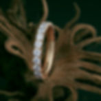 Gold Memoire Ring mit Brillianten