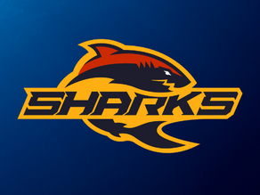 SA Sharks Evolution