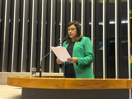 Relatoria da deputada Maria Rosas que quer incluir no Censo dados sobre doenças raras, autismo, dislexia, TDAH e visão monocular é aprovado na Câmara.
