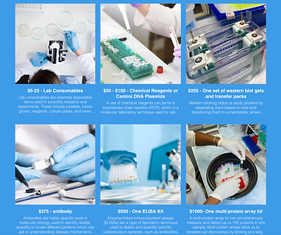 Screenshot 2025-10-27 at 3.54.39 PM.png