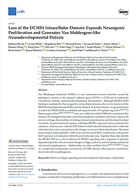 Screenshot 2026-04-27 at 11.35.57 AM.png