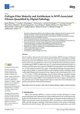 Screenshot 2025-10-24 at 11.20.41 AM.png