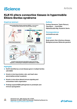 Screenshot 2025-10-24 at 10.05.58 AM.png