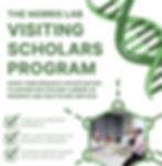 Visiting Scholars Program