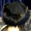 Thumbnail: Black wool 4pce hat with faux fur sideband; drawstring edge.