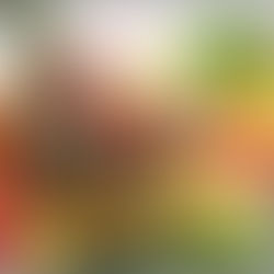 Por que consumir frutas e vegetais?