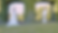 Screenshot 2022-12-08 222225.png