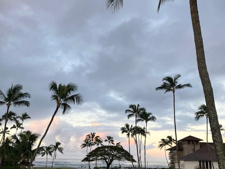 Even in Paradise Things Go Wrong