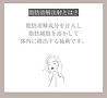 脂肪溶解②_edited.jpg