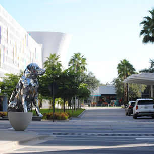 lake nona real estate