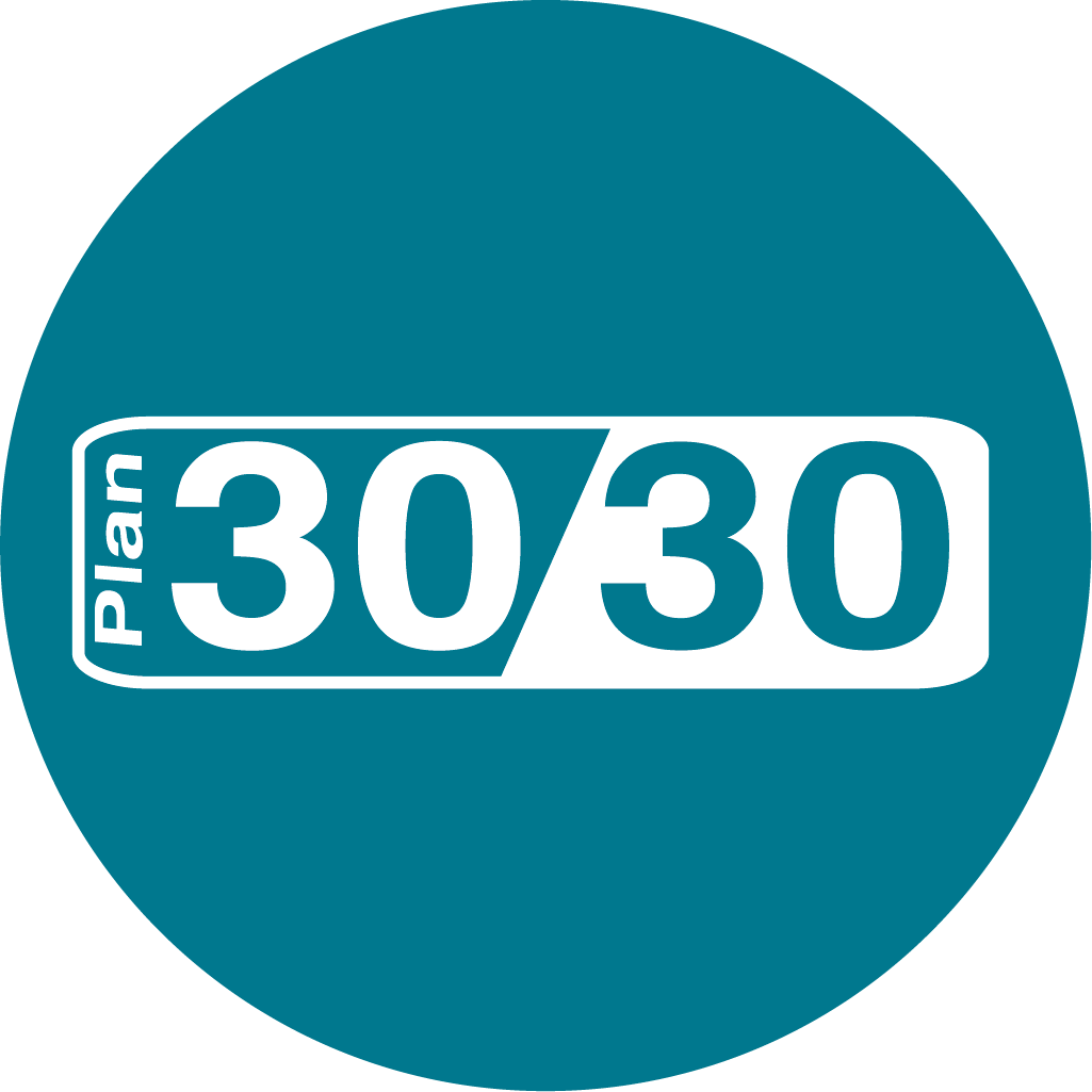 30/30 program for international buyers