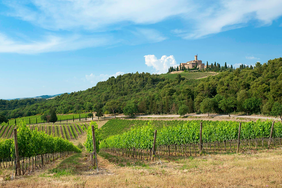 How Banfi made an entire wine region famous