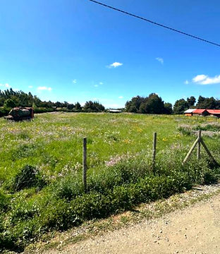 Captura de Pantalla 2025-11-04 a la(s) 1