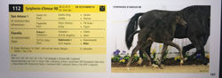 Symphonie d´Amour 2014