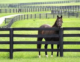 Fencing