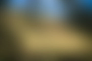 An Allegory for Health Care