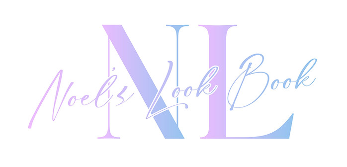 Noel'sLookBook.JPG
