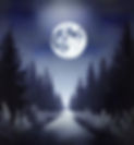 moon landscape.jpg