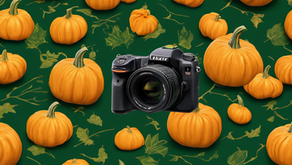 Discover Fun at Undley Farm Events: Pumpkin Patch Galore!