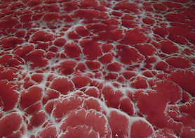 Red and white patterned Rio-X Decorative Metallic Epoxy System