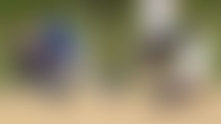 Youth Sports Medicine: Caring for Young Athletes' Health and Performance