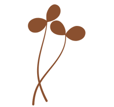 Untitled design (2).png