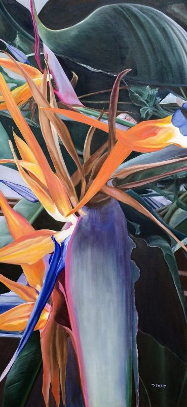 Bird of Paradise Flower Picture - The Jewel in the Crown
