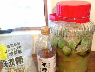 梅ジュース