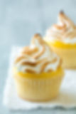 Lemon Merengue Cupcake