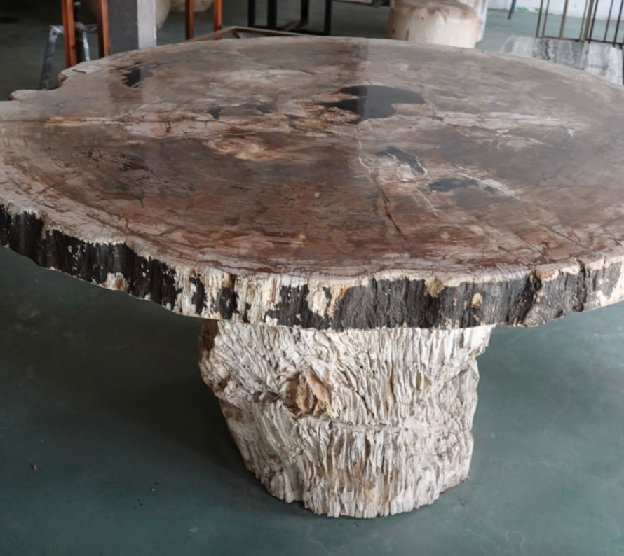 table en bois pétrifié