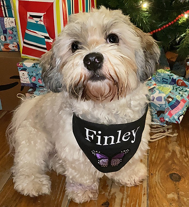 Finley