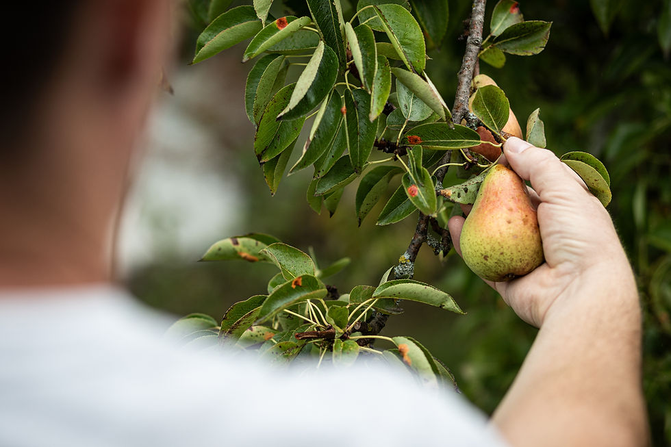 Wohnhaus Florida-33.jpg