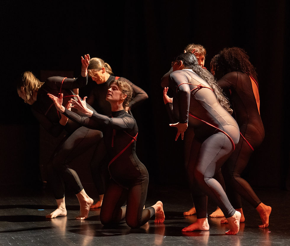 AUDITIONS: Ambo Dance Theatre 2025