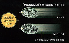 MIGUSA比較図