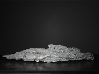 Remains of Tree of Life  - Image (10)- WEB.jpg